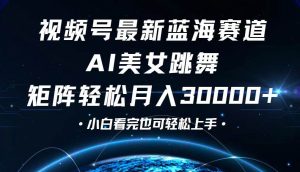 视频号最新蓝海赛道,小白也能轻松月入30000+-KJ分享