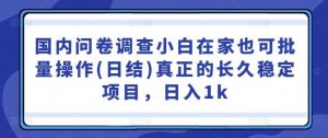 国内问卷调查小白在家也可批量操作(日结)真正的长久稳定项目，日入1k【揭秘】-KJ分享