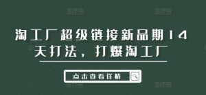 淘工厂超级链接新品期14天打法，打爆淘工厂-KJ分享