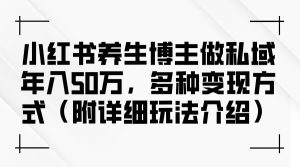 小红书养生博主做私域年入50万,多种变现方式(附详细玩法介绍)-KJ分享