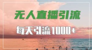 抖音快手视频号全平台通用，无人直播引流法，超暴力引流1000+高质量精准创业粉【揭秘】-KJ分享