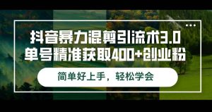 抖音暴力混剪引流术3.0单号精准获取400+创业粉简单好上手,轻松学会-KJ分享