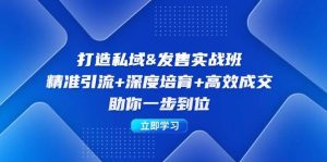 打造私域&发售实操班：精准引流+深度培育+高效成交，助你一步到位-KJ分享
