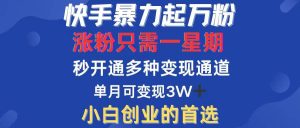 快手暴力起万粉，涨粉只需一星期，多种变现模式，直接秒开万合，小白创…-KJ分享