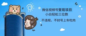2024最新微信视频号，0撸项目，自己玩，小白轻松日入三位数-KJ分享