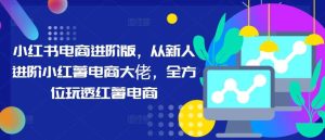 小红书电商进阶版，从新人进阶小红薯电商大佬，全方位玩透红薯电商-KJ分享