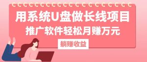 用系统U盘做长线项目，推广软件轻松月赚万元（附制作教程+软件）-KJ分享