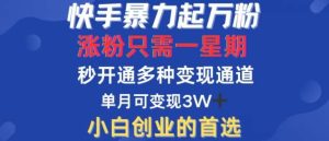 快手暴力起万粉，涨粉只需一星期，多种变现模式，直接秒开万合，单月变现过W【揭秘】-KJ分享