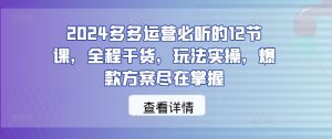 2024多多运营必听的12节课,全程干货,玩法实操,爆款方案尽在掌握-KJ分享