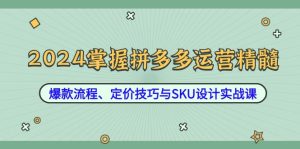 2024掌握拼多多运营精髓：爆款流程、定价技巧与SKU设计实战课-KJ分享