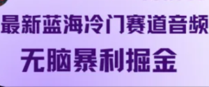 最新蓝海冷门赛道音频,无脑暴利掘金-KJ分享