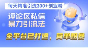 评论区私信暴力引流法，每天精准引流300+创业粉，全平台已打通，简单粗暴-KJ分享