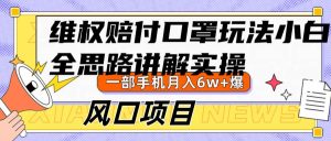 维权赔付口罩玩法,小白也能月入6w+,风口项目实操-KJ分享