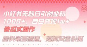 小红书无脑每日引流创业粉500+，小白每天只花半小时，躺赚长尾收益【揭秘】-KJ分享