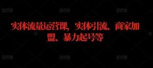 实体流量运营课,实体引流、商家加盟、暴力起号等-KJ分享