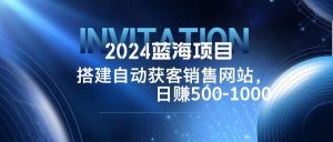 2024蓝海项目，搭建销售网站，自动获客，日赚500-1000-KJ分享