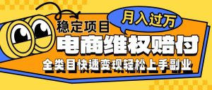 电商维权赔付全类目稳定月入过万可批量操作一部手机轻松小白-KJ分享