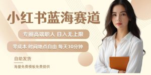小红书蓝海赛道，圈中高端职场人，月入无上限，可矩阵，内含私域实操教程!-KJ分享
