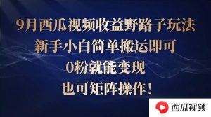 西瓜视频收益野路子玩法，新手小白简单搬运即可，0粉就能变现，也可矩…-KJ分享