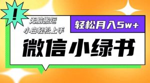 微信小绿书项目,一部手机,每天操作十分钟,,日入1000+-KJ分享