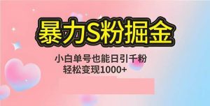 单人单机日引千粉，变现1000+，S粉流量掘金计划攻略-KJ分享