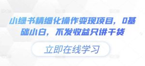 小绿书精细化操作变现项目,0基础小白,不发收益只讲干货-KJ分享