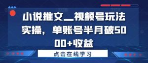 小说推文—视频号玩法实操，单账号半月破5000+收益-KJ分享