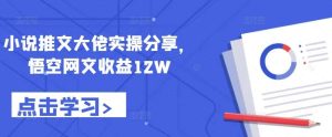 小说推文大佬实操分享，悟空网文收益12W-KJ分享