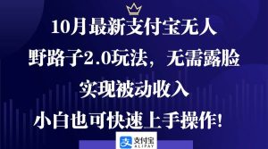 10月最新支付宝无人野路子2.0玩法，无需露脸，实现被动收入，小白也可…-KJ分享