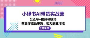 小绿书AI带货实战营：公众号+视频号联动，教会你选品带货，助力副业增收-KJ分享