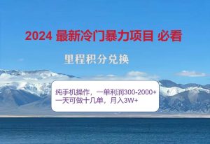 2024惊爆冷门暴利!出行高峰来袭,里程积分,高爆发期,一单300+—2000…-KJ分享