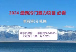 2024惊爆冷门暴利,里程积分最新玩法,高爆发期,一单300+—2000+-KJ分享