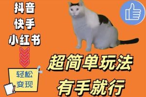 超简单玩法,有手就行,靠猫咪视频日入500+【揭秘】-KJ分享