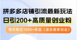 拼多多店铺引流最新玩法,日引200+高质量创业粉,每天稳定1000+收益(…-KJ分享