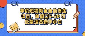手机短视频掘金项目,单窗口单平台5-20 可批量适合新手小白-KJ分享