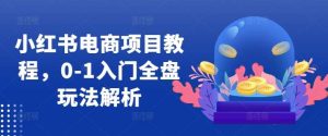 小红书电商项目教程，0-1入门全盘玩法解析-KJ分享