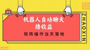 机器人自动聊天撸收益,单机日入500+矩阵操作当天落地-KJ分享