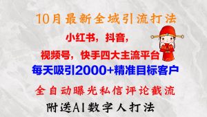 10月最新小红书,抖音,视频号,快手四大平台全域引流,,每天吸引2000…-KJ分享