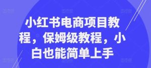小红书电商项目教程,保姆级教程,小白也能简单上手-KJ分享