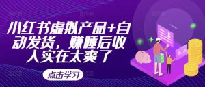 小红书虚拟产品+自动发货，赚睡后收入实在太爽了-KJ分享