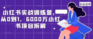 小红书实战训练营，从0到1，6000万小红书项目拆解-KJ分享