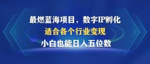 最燃蓝海项目  数字IP孵化  适合各个行业变现  小白也能日入5位数-KJ分享