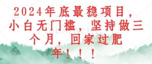 2024年底最稳项目，小白无门槛，坚持做三个月，回家过肥年！！！-KJ分享