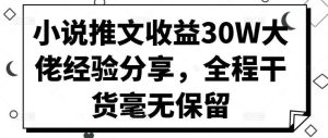 小说推文收益30W大佬经验分享，全程干货毫无保留-KJ分享