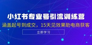 小红书专业号引流陪跑课，涵盖起号到成交，15天见效果助电商获客-KJ分享