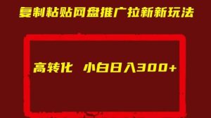 复制粘贴网盘推广拉新新玩法高转化小白日入300+【揭秘】-KJ分享
