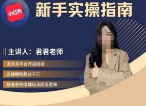君君-小红书电商从入门到精通,新手实操指南-KJ分享