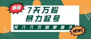 3-7天万粉，快手暴力起号，多种变现方式，新手小白秒上手，单月变现几…-KJ分享