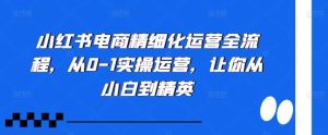 小红书电商精细化运营全流程,从0-1实操运营,让你从小白到精英-KJ分享