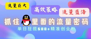 流量蓝海,抓住QQ里面的流量密码!高效策略,单日狂揽500+精准创业粉-KJ分享